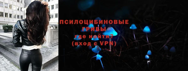 а пвп мука Белокуриха