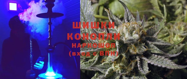 шишки Гусь-Хрустальный