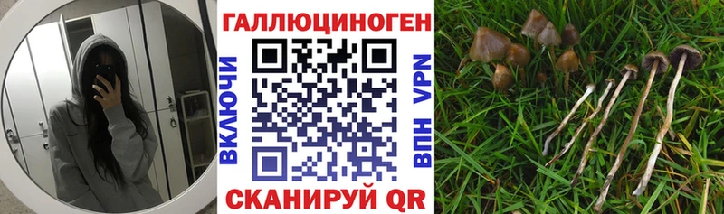 Псилоцибиновые грибы Psilocybine cubensis  купить закладку  Гулькевичи 