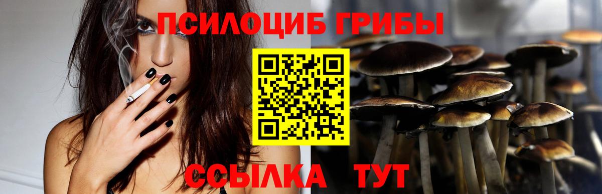Галлюциногенные грибы прущие грибы  Гулькевичи  магазин продажи наркотиков  Галлюциногенные грибы Psilocybine cubensis 